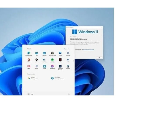 Autocollant de Coa de clé d'activation de Windows 11 d'ordinateur/pro clé produit de la victoire 11 pour le bureau